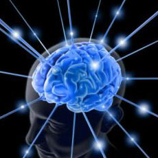 brain_potential