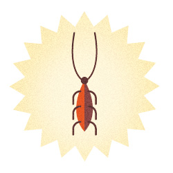 Bug